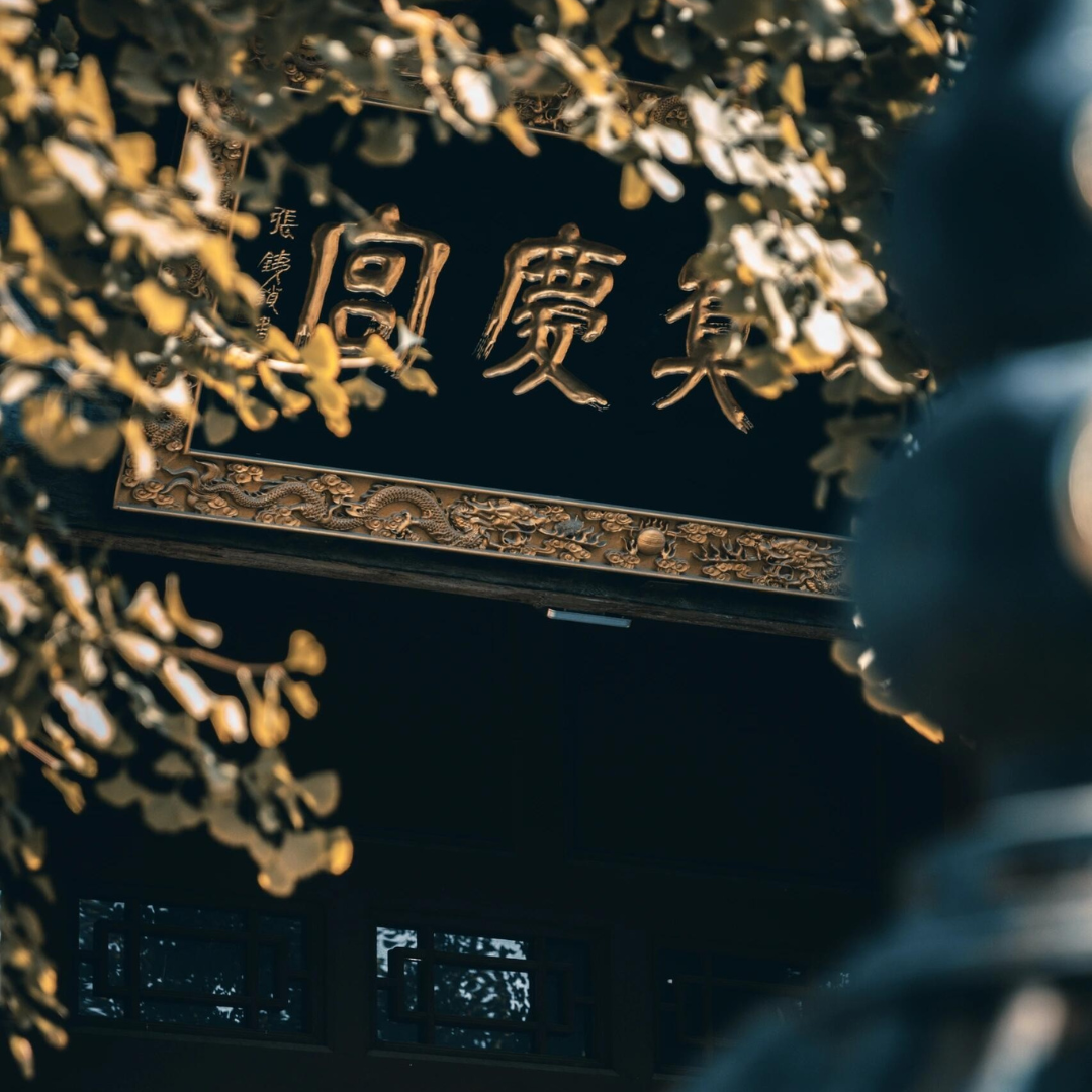 Taoist temple plaque "Zhenqing Palace" with golden dragon carving and ginkgo leaves - featured image for The Tao Journal blog series