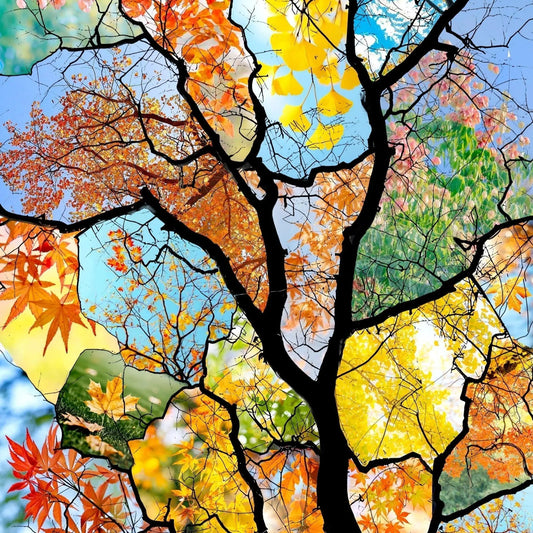 Harness the Dao: A Modern Guide to Taoist Power in Everyday Life